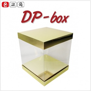 온교육 DP 박스 (5개)