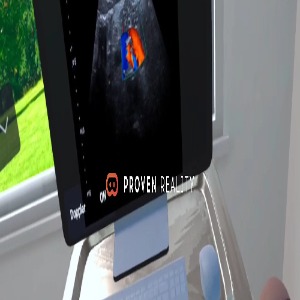 메타퀘스트2 메타버스 VR 콘텐츠 Ultrasound medical training FREE