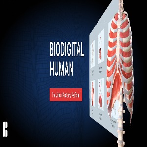 메타퀘스트2 메타버스 BioDigital Human