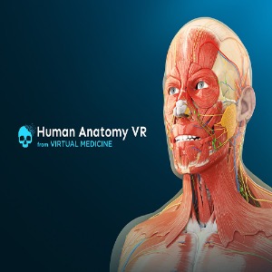메타퀘스트2 메타버스 VR 콘텐츠 Human Anatomy Puzzle