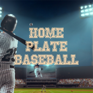 메타버스 Home Plate Baseball